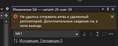 VS git push error